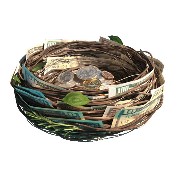 Nest with money tucked in it
